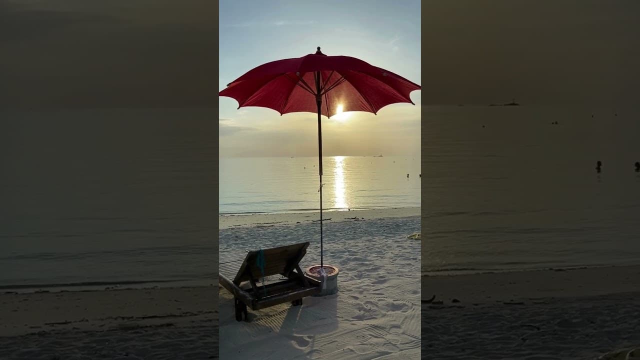 🌞 Stop Scrolling, Start Savoring